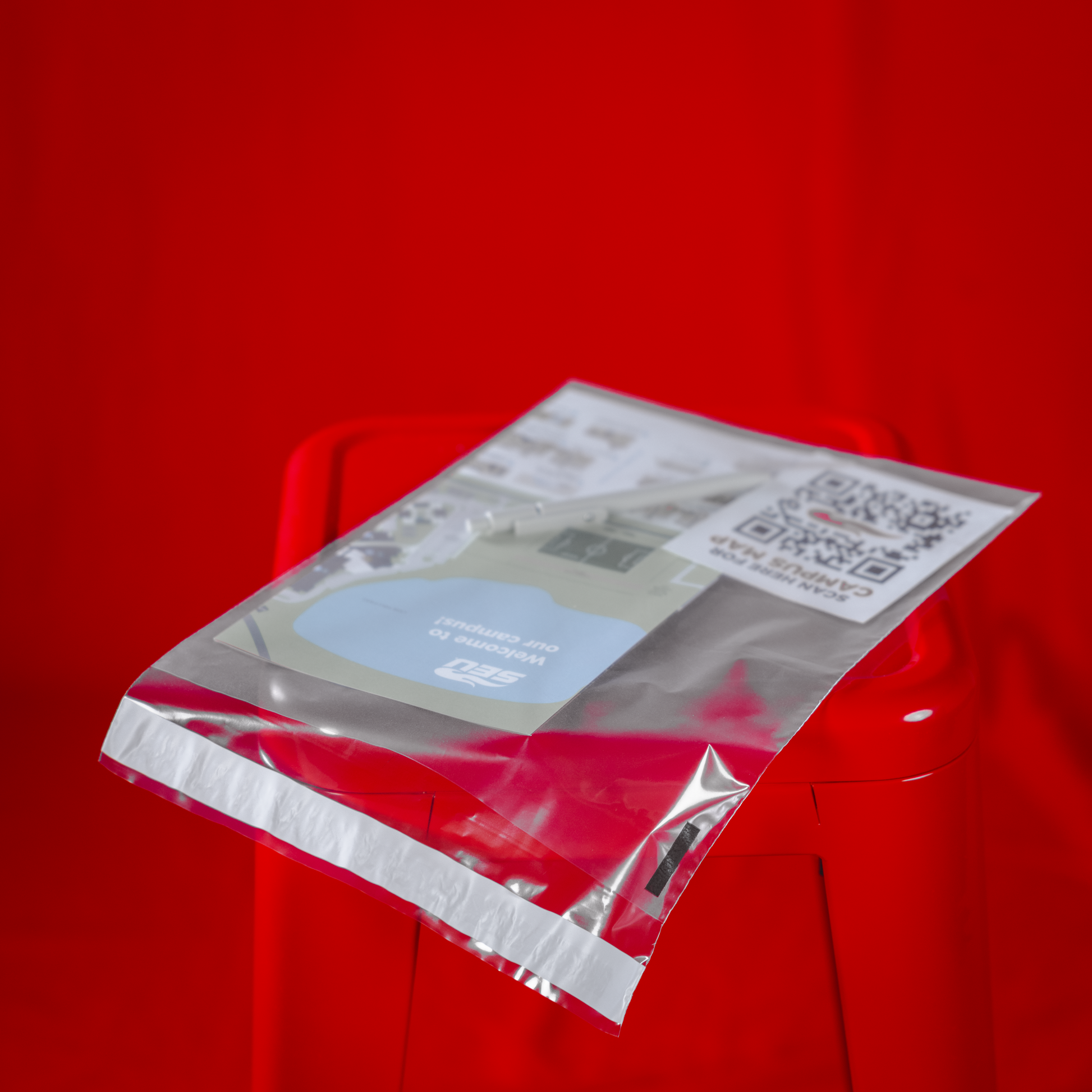 Bags- Plain Clear Sealable