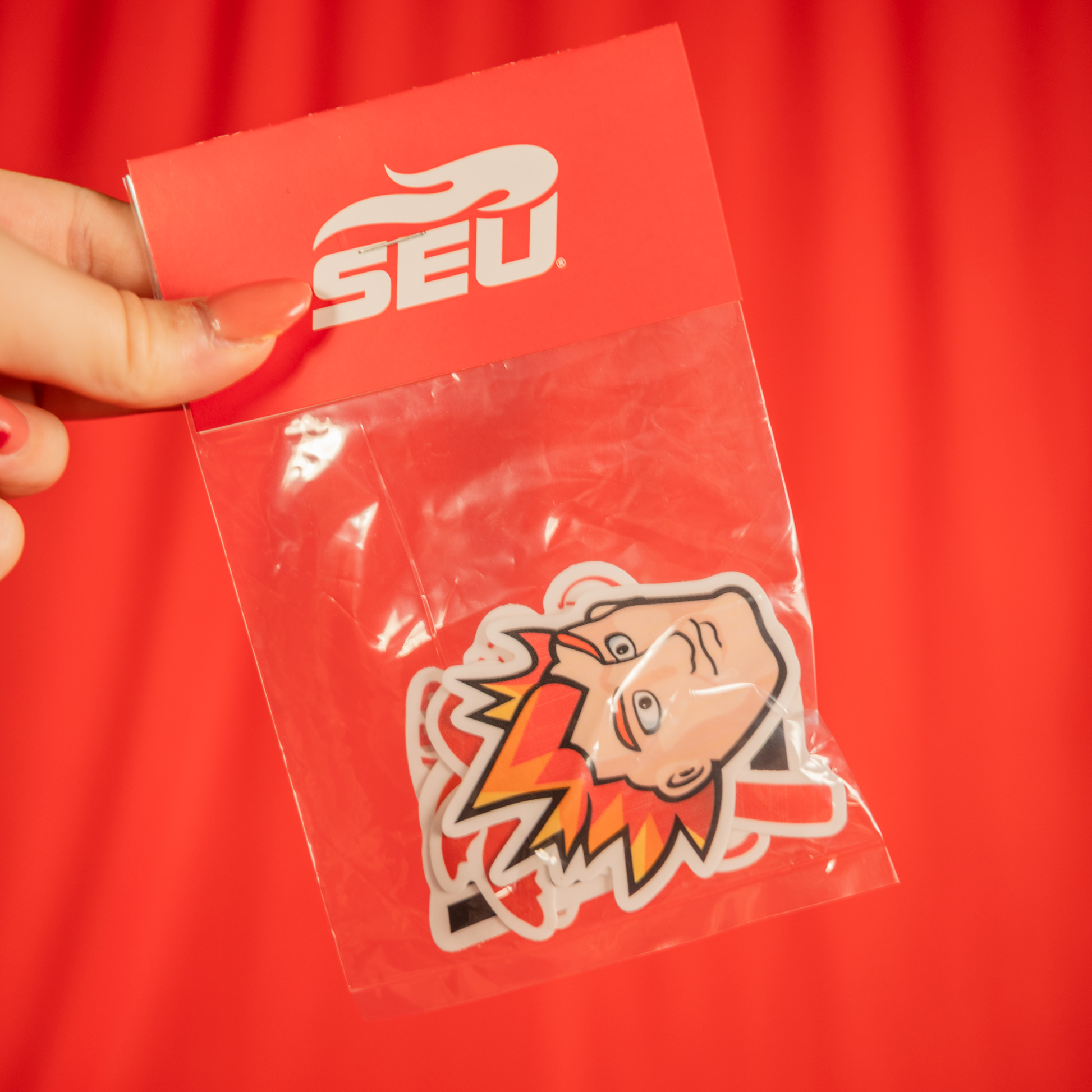 Embellishments- Sticker Pack
