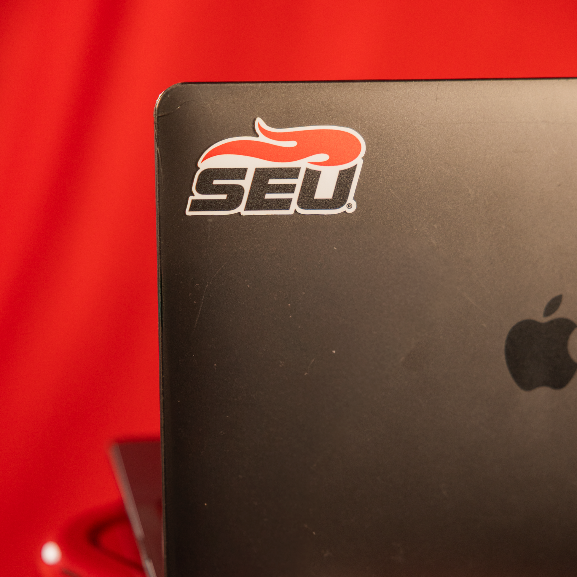 Embellishments- SEU Sticker